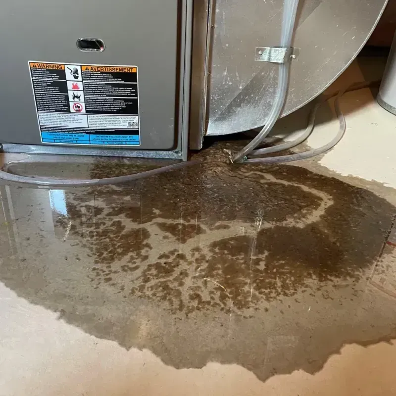 Appliance Leak Cleanup in Sibley, LA